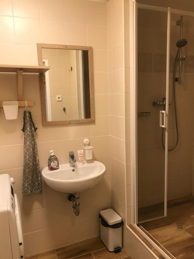 Apartman Orlicke Zahori Екстериор снимка