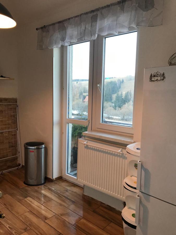 Apartman Orlicke Zahori Екстериор снимка