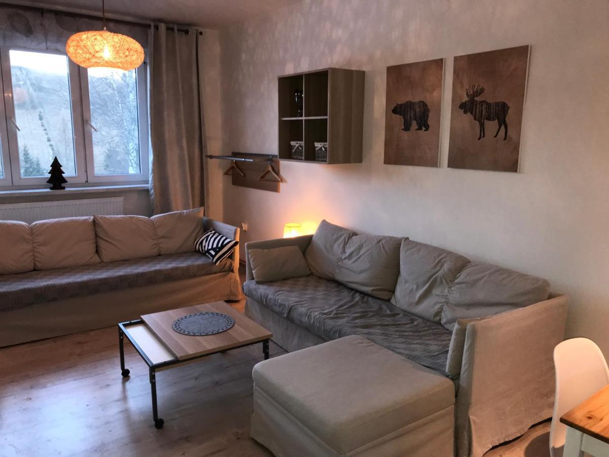 Apartman Orlicke Zahori Екстериор снимка