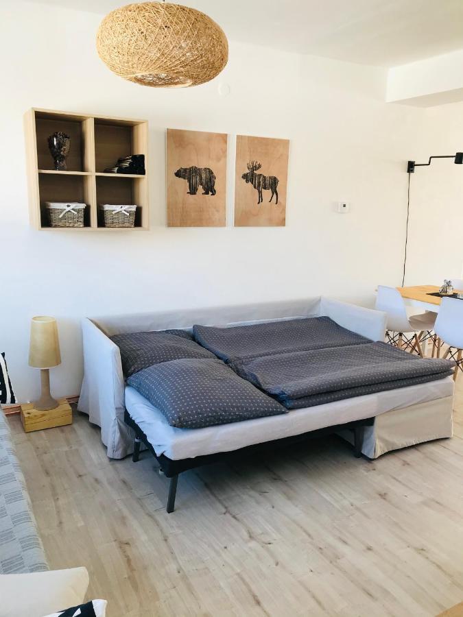 Apartman Orlicke Zahori Екстериор снимка